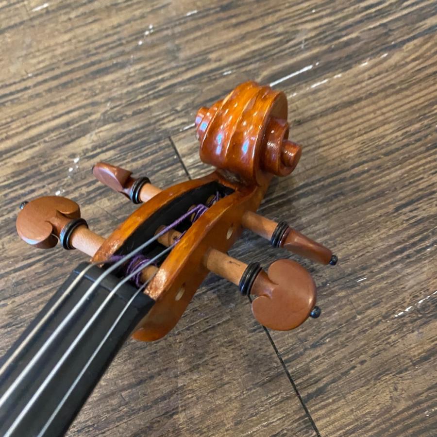 Carlo giordano VS-2 3/4 String Instrument カルロジョルダーノ Carlo giordano VS-2 3/4 String Instrument カルロジョルダーノ