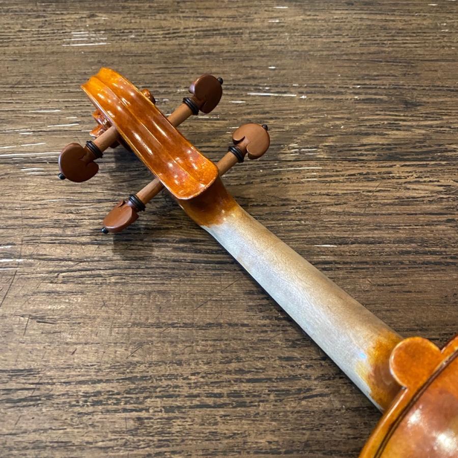 Carlo giordano VS-2 3/4 String Instrument カルロジョルダーノ Carlo giordano VS-2 3/4 String Instrument カルロジョルダーノ