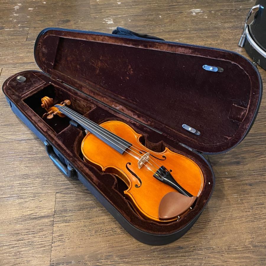 Carlo giordano VS-2 3/4 String Instrument カルロジョルダーノ Carlo giordano VS-2 3/4 String Instrument カルロジョルダーノ