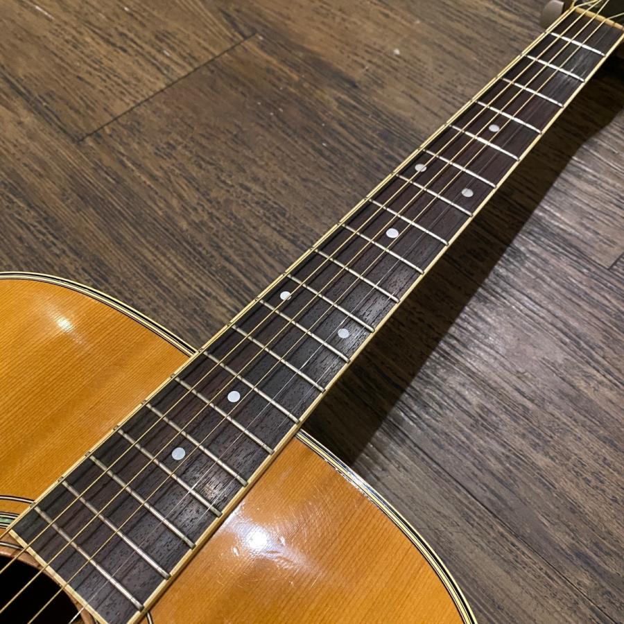 Morris MD-510 Acoustic Guitar アコースティックギター Morris MD-510 Acoustic Guitar アコースティックギター