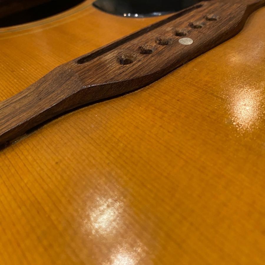 ARIA（楽器） ARIA W-250 Acoustic Guitar Body