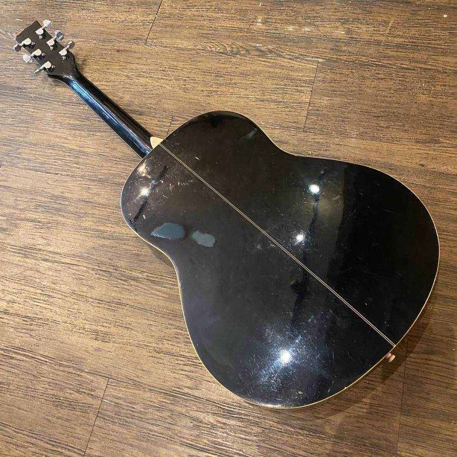 Morris MG-301BK Acoustic Guitar アコースティックギター