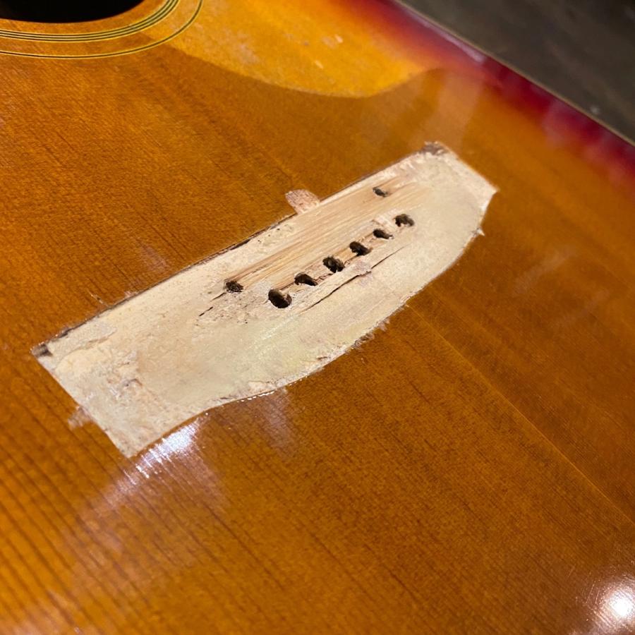 Pearl ハミングバード Guitar Body アコースティックギター Pearl ハミングバード Guitar Body アコースティックギター