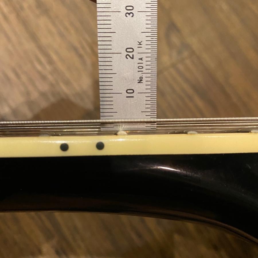 Burny Les Paul Type Electric Guitar エレキギター バーニー