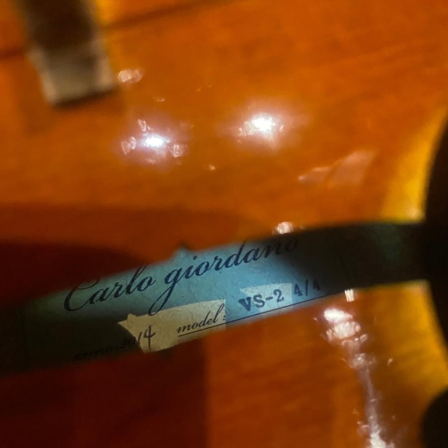 Carlo giordano VS-2 4/4 Violin カルロジョルダーノ バイオリン