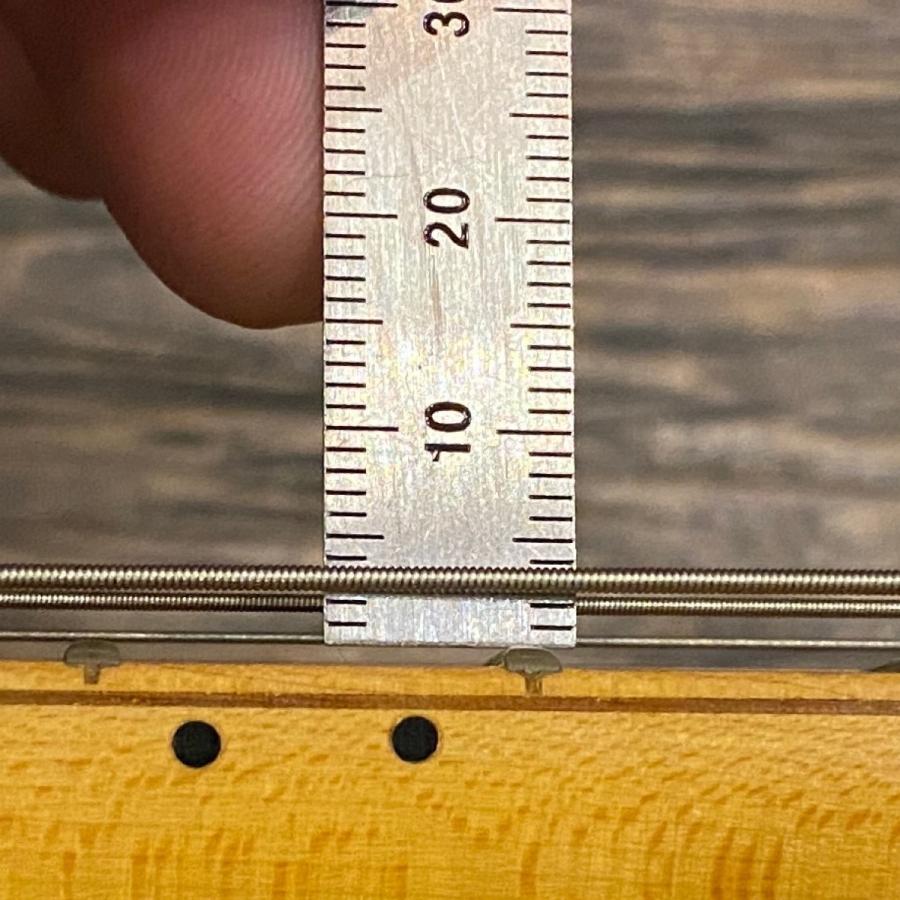Fresher STRAIGHTER Protean Series Electric Guitar エレキギター フ