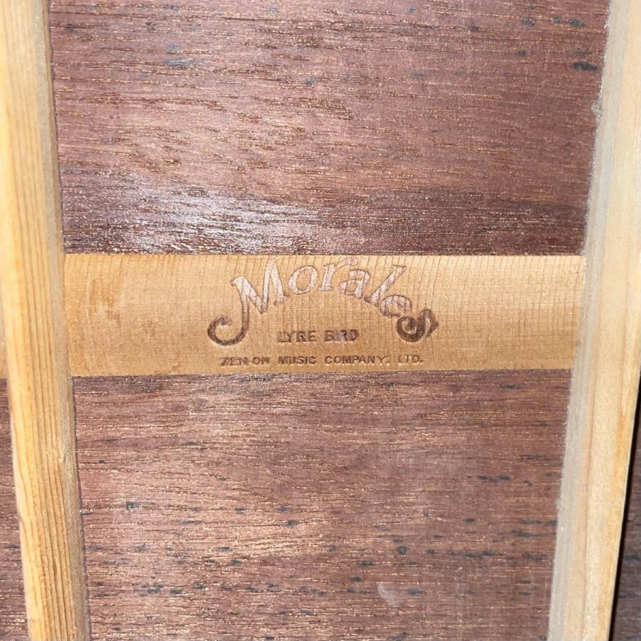 Morales LYRE BIRD M−18 アコースティックギター　弦楽器 Morales M-18 Lyre Bird Acoustic Guitar アコースティック