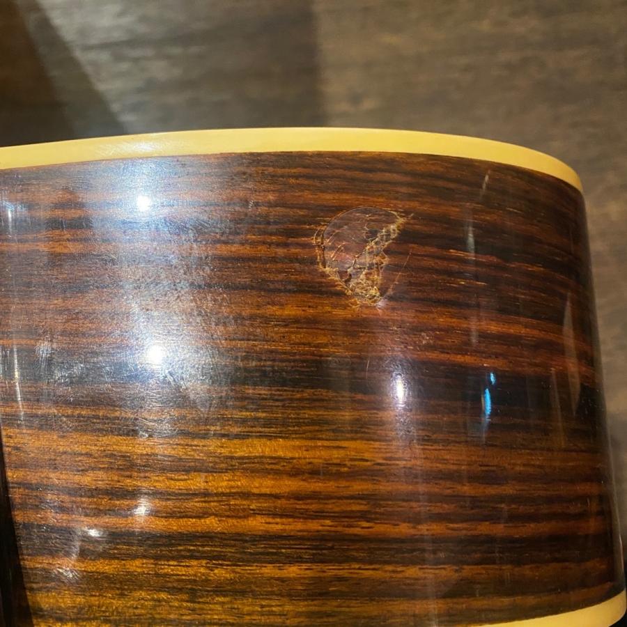 Morales M-18 Lyre Bird Acoustic Guitar アコースティック