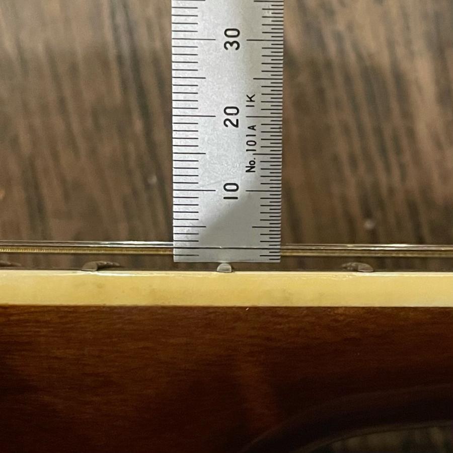 ARIA（楽器） Aria W-25 Acoustic Guitar アコースティック