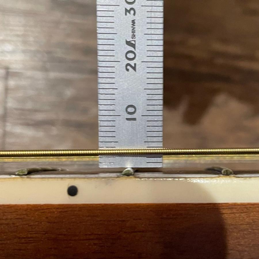 Tokai Cat's Eyes CE-200 Acoustic Guitar アコースティックギター