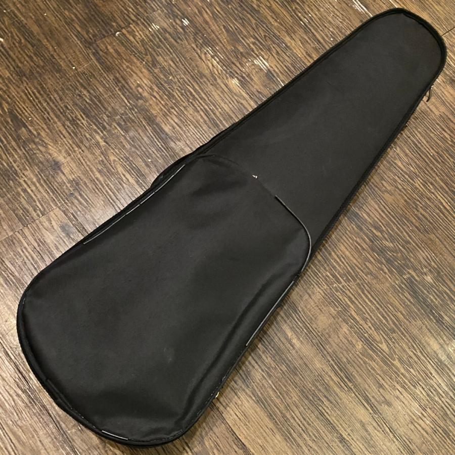 Carlo giordano EV-202 Silenzia CV-210E 4/4 Electric Violin カルロ