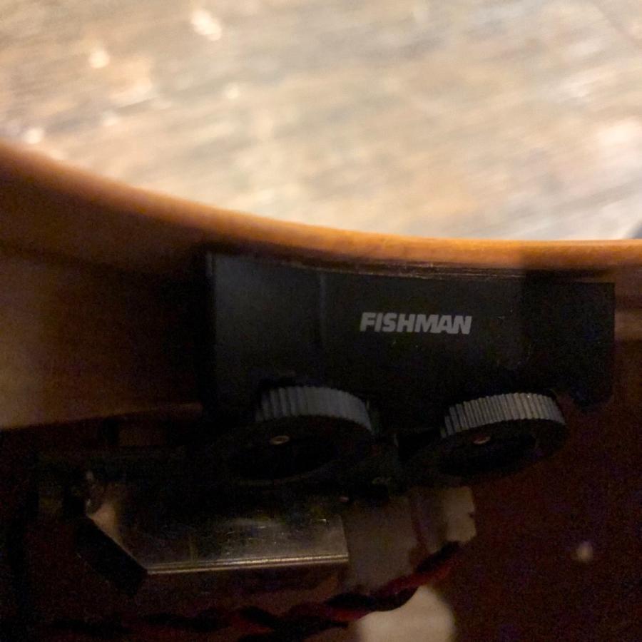 Stafford SF-300D BS Electric Acoustic Guitar エレクトリック