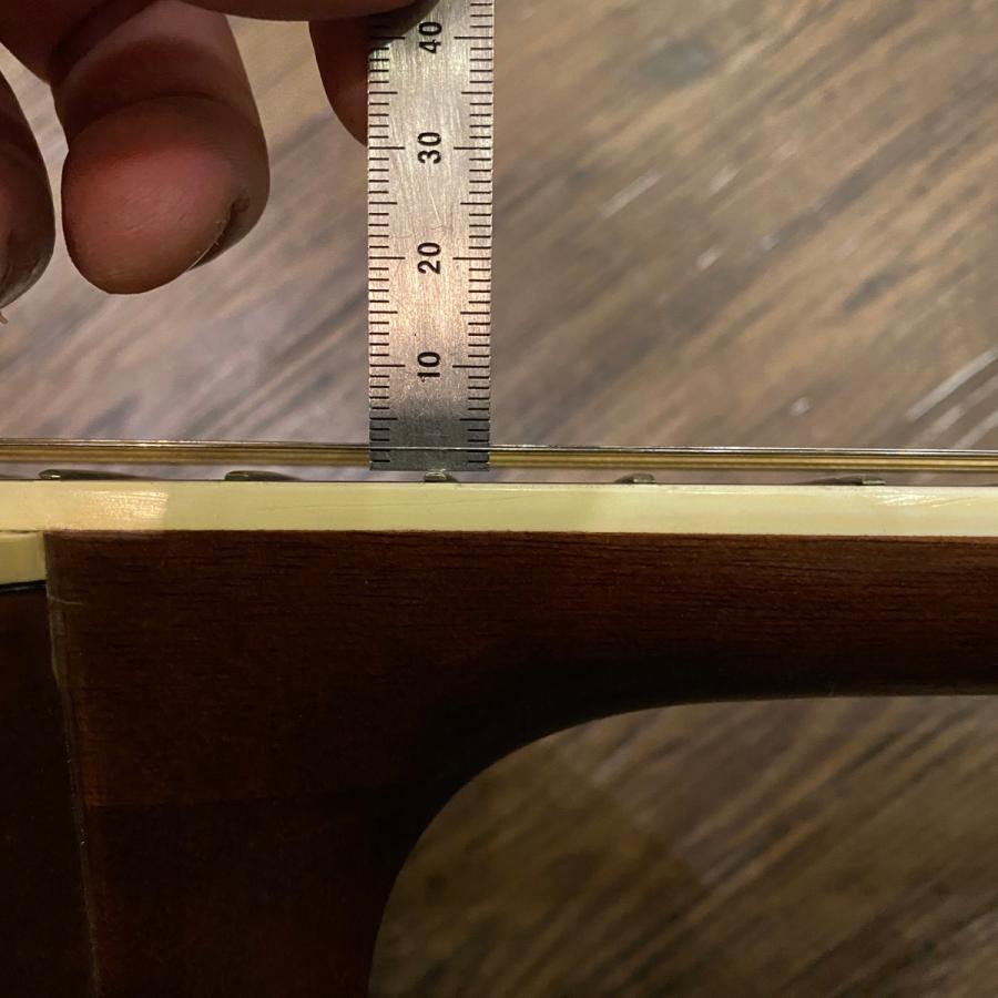 Morris Morris MD-510 Acoustic Guitar アコースティックギター