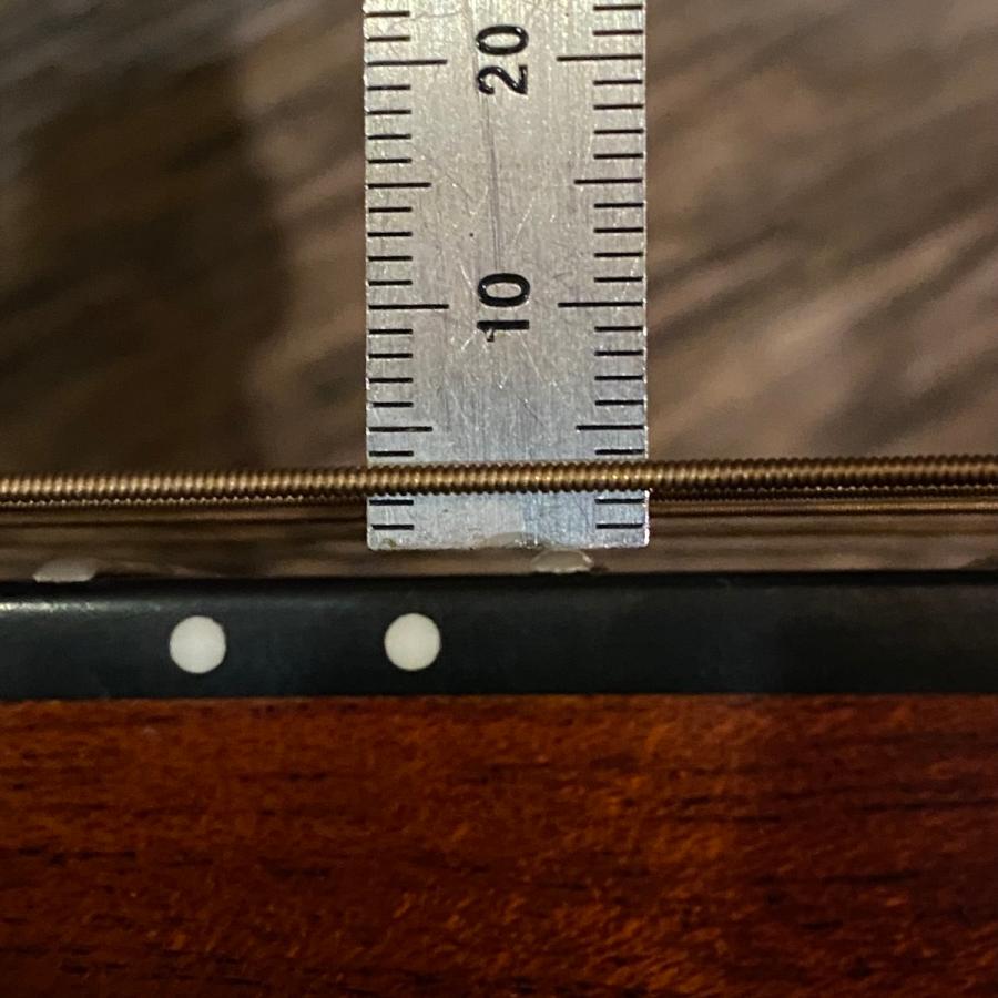 Morris Morris W-61 Acoustic Guitar アコースティックギター モーリス