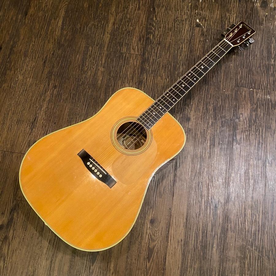 Aria W-200 Acoustic Guitar アコースティックギター アリア