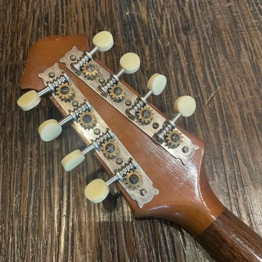 スズキ Suzuki No.228 Mandolin マンドリン -GrunSound-z019