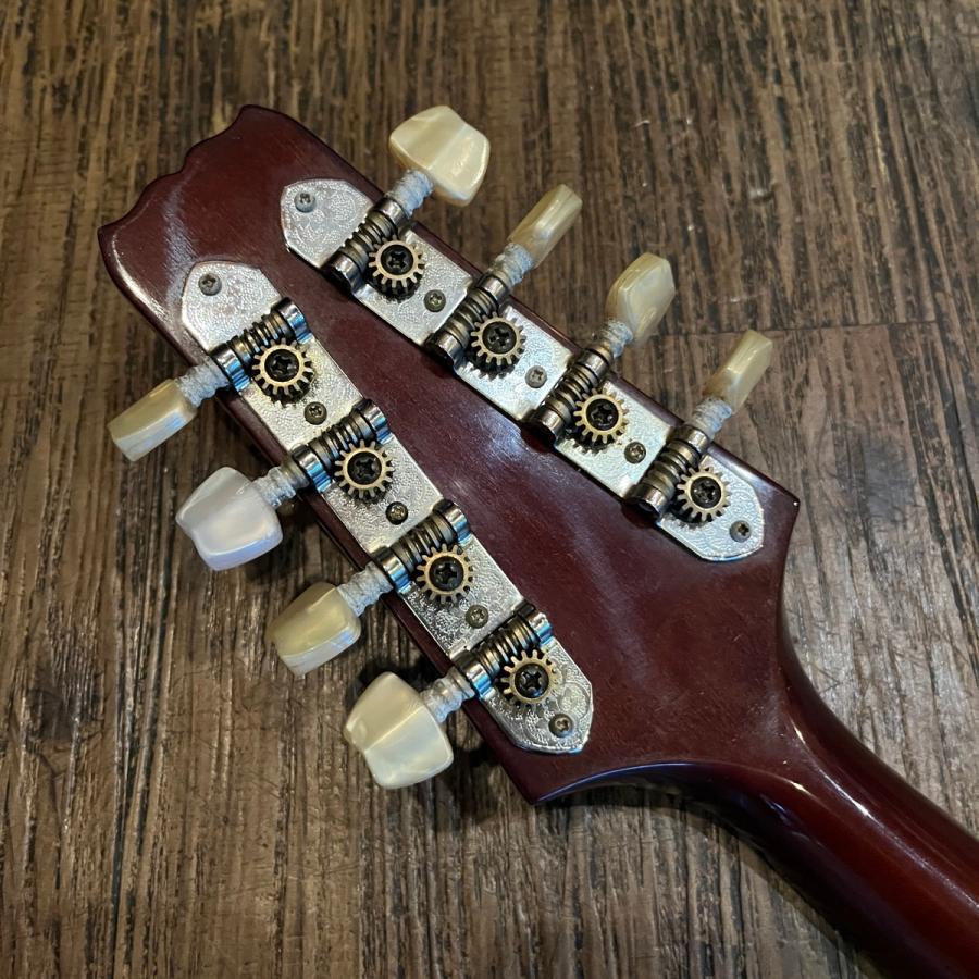弦楽器 ARIA FlatMandolin AM-200E am-200.jpg
