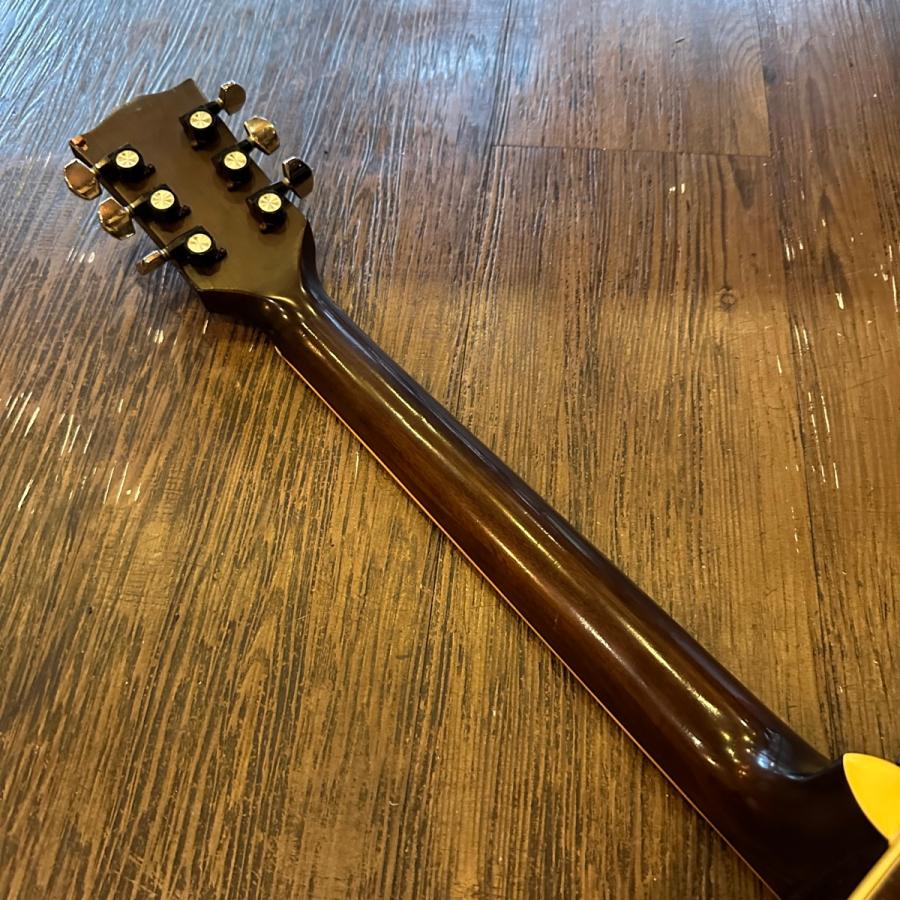Night No.250 Acoustic Guitar アコースティックギター -z615 