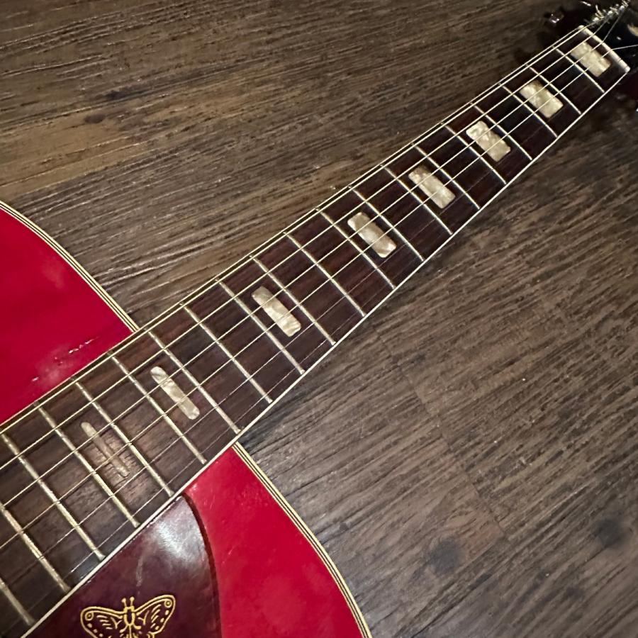 ARIA（楽器） Aria HummingBird Acoustic Guitar