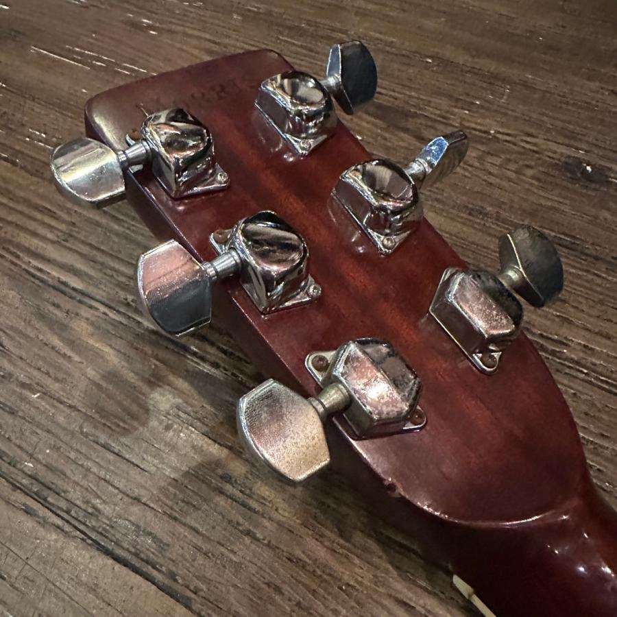 Morris W-20 Acoustic Guitar アコースティックギター モーリス Morris W-20 Acoustic Guitar アコースティックギター モーリス