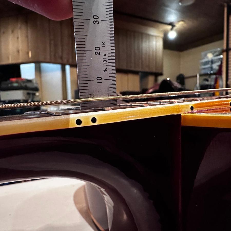 Pearl PF-250 Acoustic Guitar アコースティックギター ハミング