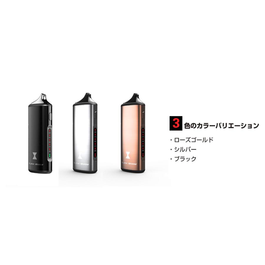 Kingtons BLK Black Widow ブラックウィドウ 2200mAh内蔵バッテリー