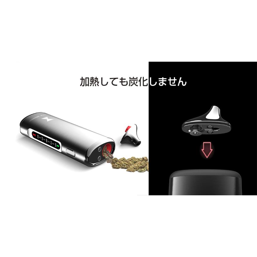 Kingtons BLK Black Widow ブラックウィドウ 2200mAh内蔵バッテリー