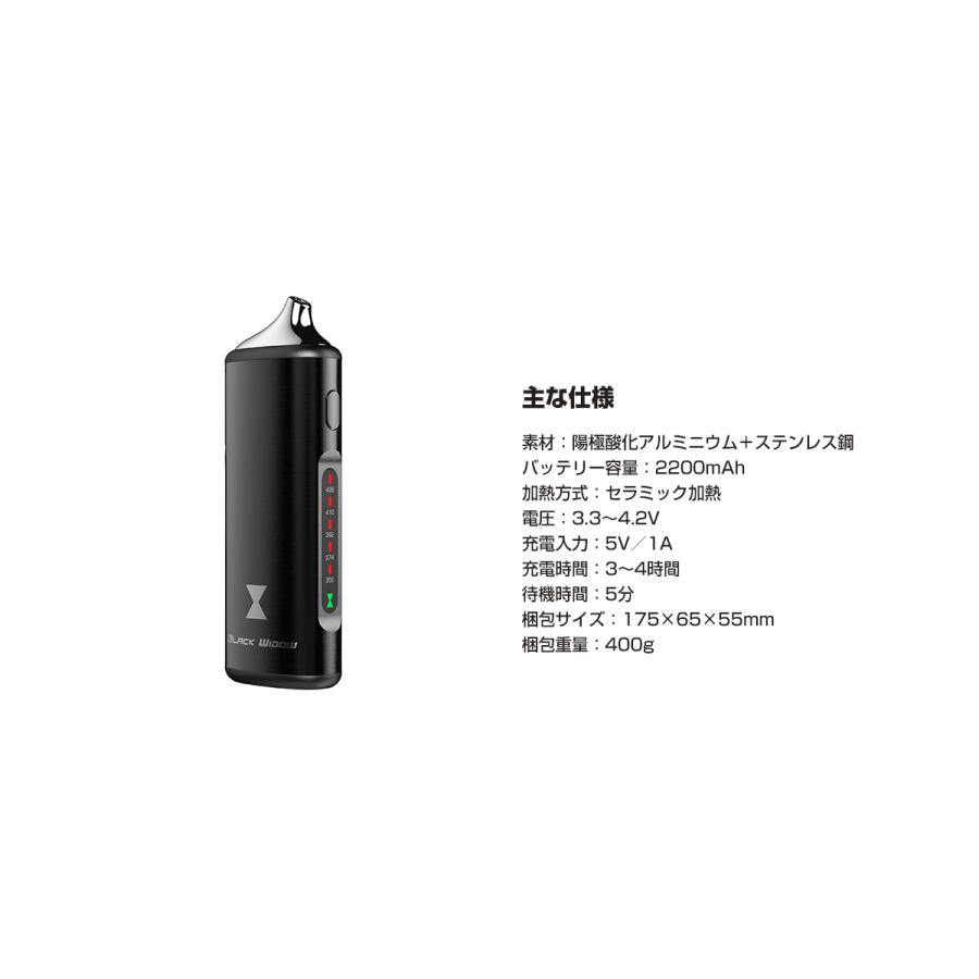Kingtons BLK Black Widow ブラックウィドウ 2200mAh内蔵バッテリー