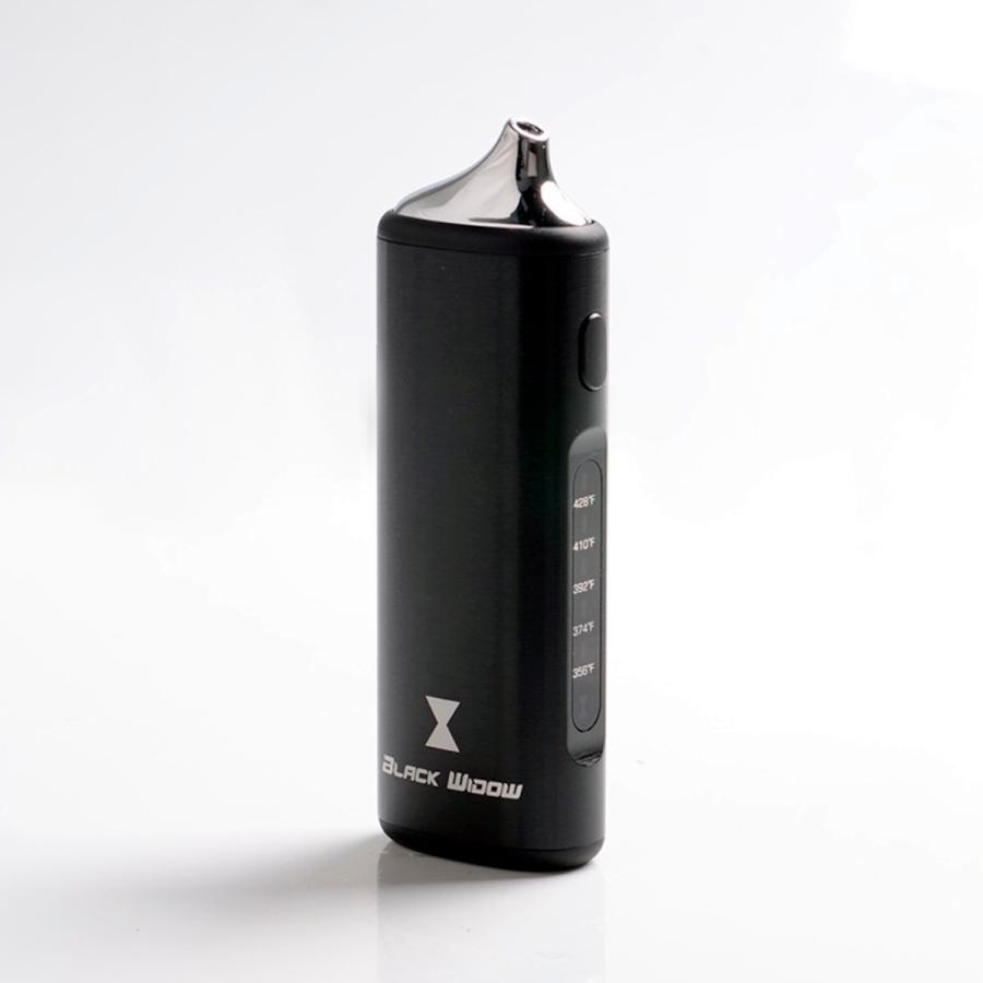 Kingtons BLK Black Widow ブラックウィドウ 2200mAh内蔵バッテリー