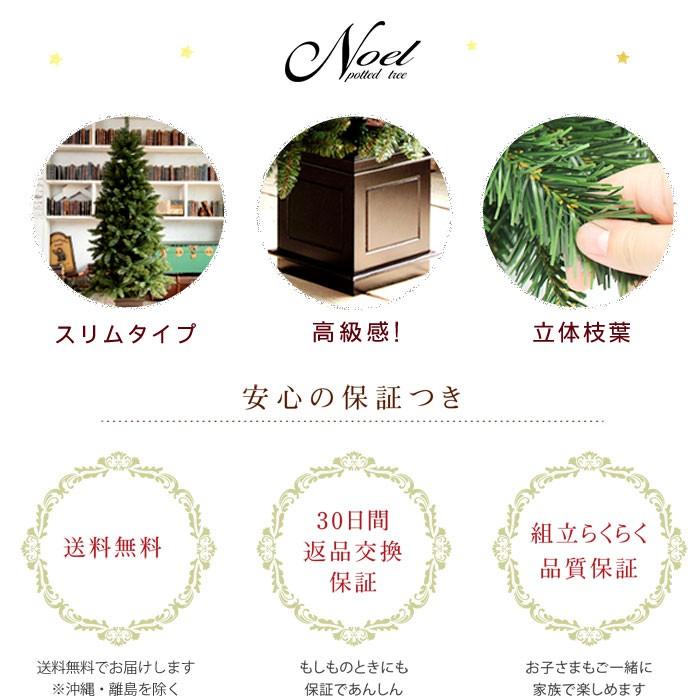 クリスマスツリー ノエル 1cm ポットツリー 樅 クリスマス 鉢つき ヌードツリー 高級 植木鉢 スマートデザイン Groovy 通販 Yahoo ショッピング