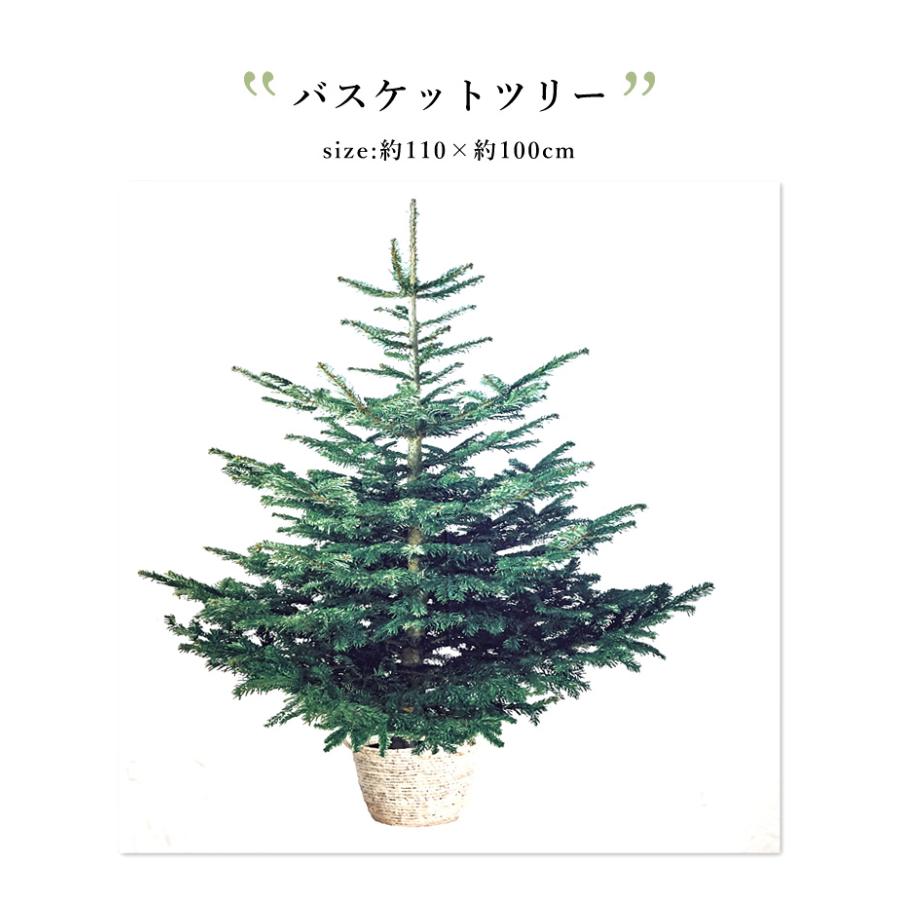 クリスマスツリータペストリー 単品 壁掛け 壁 飾り おしゃれ 布 生地 タペストリー クリスマス 樅 柊 ゆうパケット Groovy 通販 Yahoo ショッピング