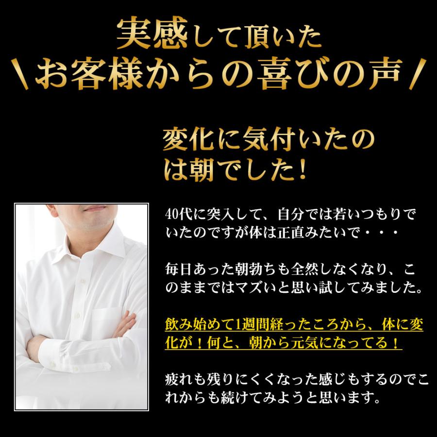 活力 自信増大 高い素材 サプリメント レプステロン 国産シトルリン エナジー アルギニン 亜鉛 マカ 男性 栄養機能食品 妊活