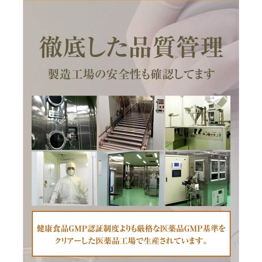 【2026年1月8日以降の発送予定】 男性 サプリ ペニブーストプレミアム 3本180粒 自信 増大サプリ シトルリン アルギニン ニンニク プロポリス 亜鉛 トンカットアリ マカ サプリメント 【3257072336】(16381円)