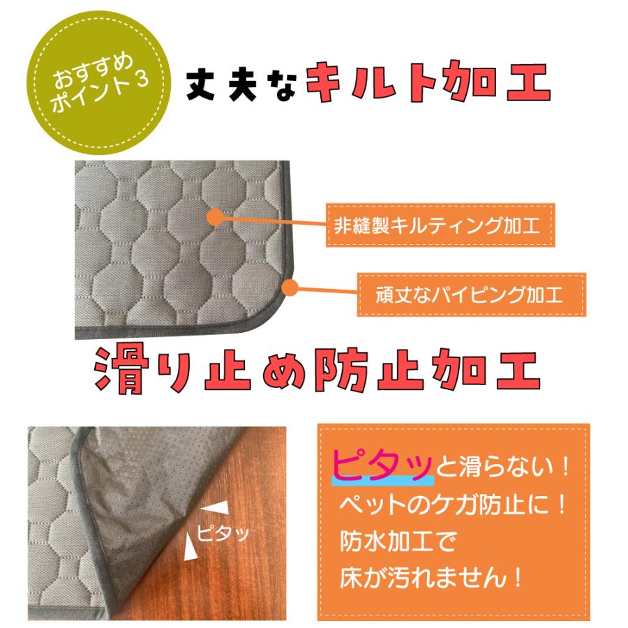 洗える ペットシーツ トイレシーツ トイレマット 犬 ワイド レギュラー