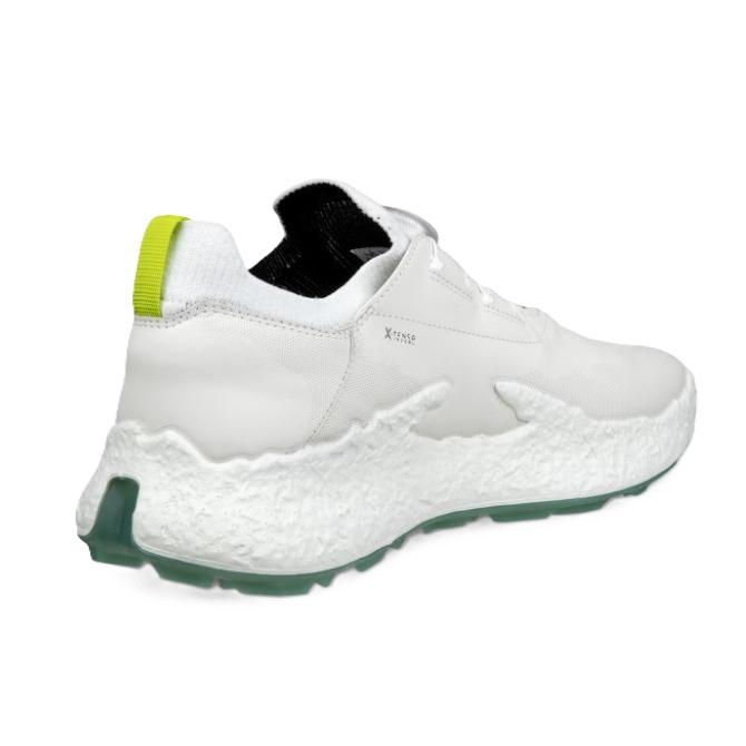 ecco（エコー） 【特別価格・新品・日本正規品】ECCO BIOM H5 BOA