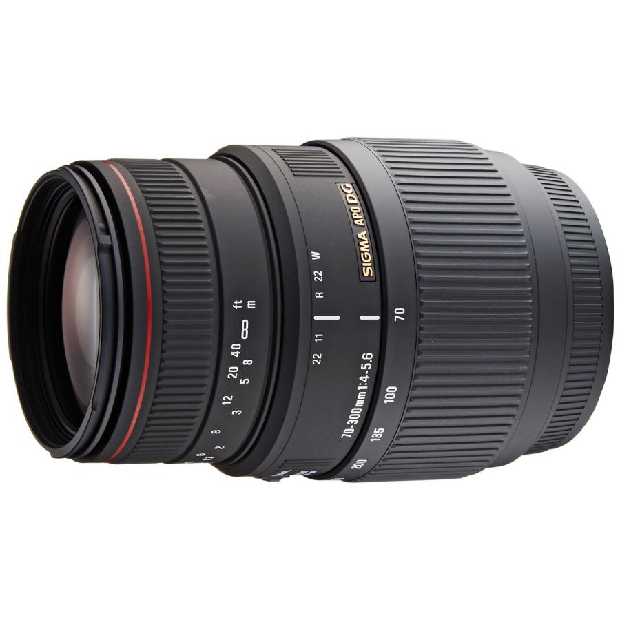 SIGMA 望遠ズームレンズ APO 70-300mm F4-5.6 DG MACRO ソニー用 フル