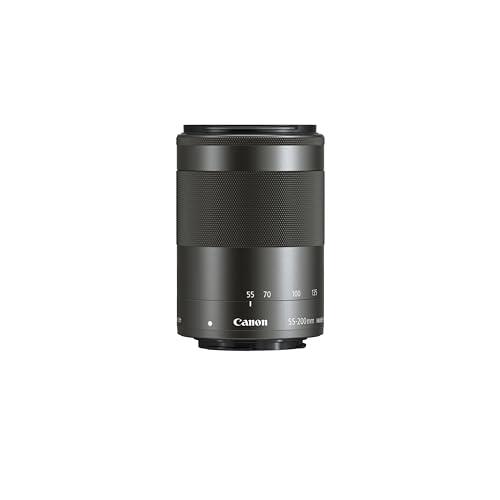 Canon キヤノン 望遠ズームレンズ EF-M55-200mm F4.5-6.3 IS STM 
