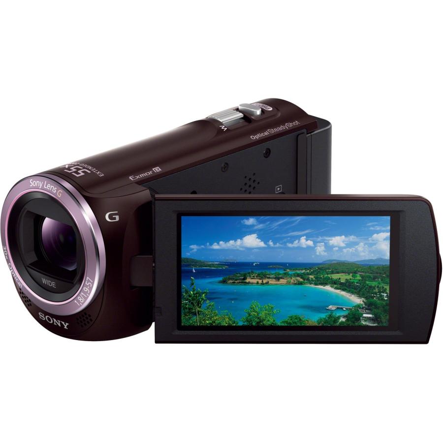 SONY デジタルHDビデオカメラレコーダー「HDR-CX390」(ボルドー