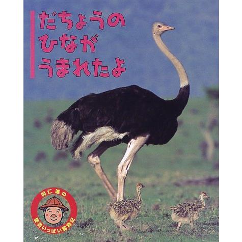羽仁進の愛情いっぱい動物記 絵本 12冊セット 本 羽仁 進の愛情いっぱい動物記 シリーズ 12冊セット