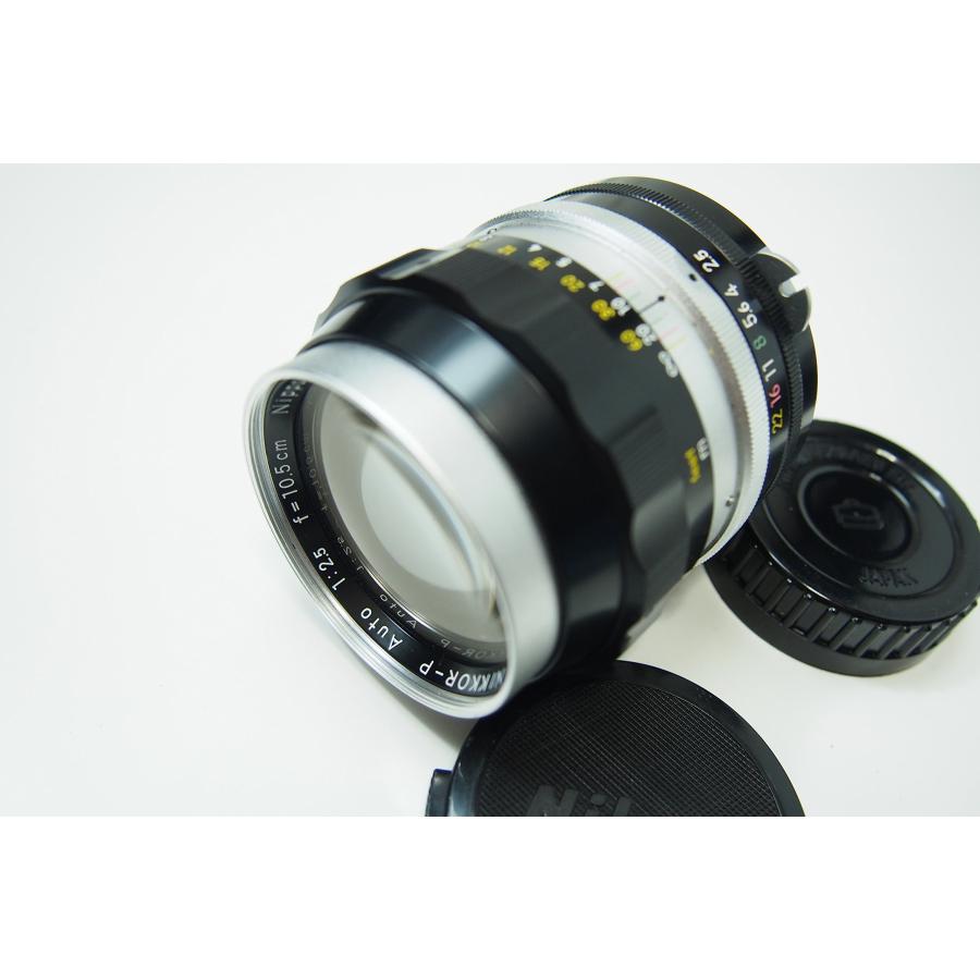 Nikon Nippon Kogaku NIKKOR-P.C 10.5cm F2.5 : ぽちっとほわっ