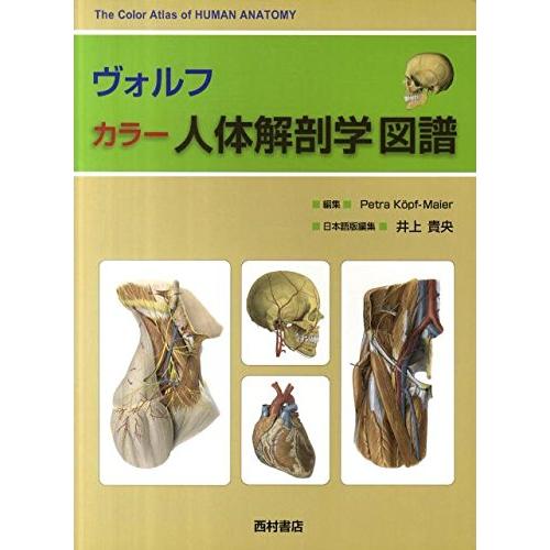 未使用】【中古】 人体解剖学図譜集 アーティストのための美術解剖学