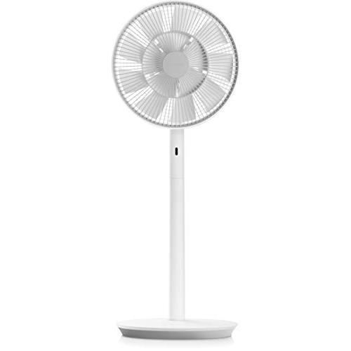 バルミューダ ザ・グリーンファン DCモーター扇風機 BALMUDA The GreenFan EGF-1700-WG (ホワイト×グレー)