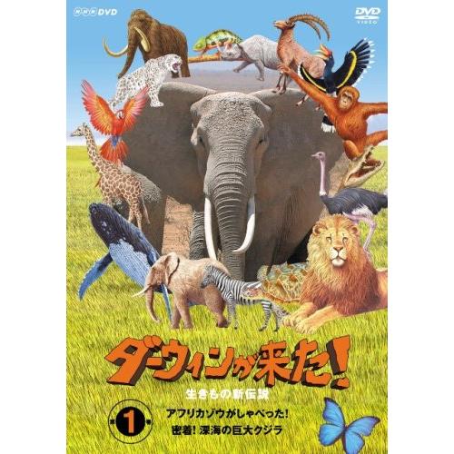ダーウィンが来た生き物新伝説 第1巻 DVD : ぽちっとほわっと - 通販