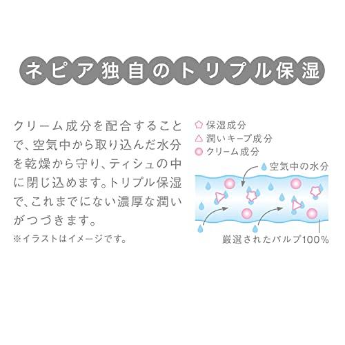 ネピア 鼻セレブ ティシュ 400枚(200組)×3個パック すみっコぐらしコラボ｜gs-shopping｜05