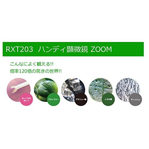 レイメイ藤井 顕微鏡 ハンディ ZOOM グレー RXT203N｜gs-shopping｜05