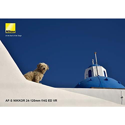 Nikon 標準ズームレンズ AF-S NIKKOR 24-120mm f/4G ED VR フルサイズ対応｜gs-shopping｜11