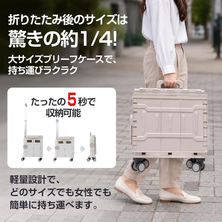 キャリーカート 4輪30Lシルバー TSAロック式 機内 スーツケース 小型