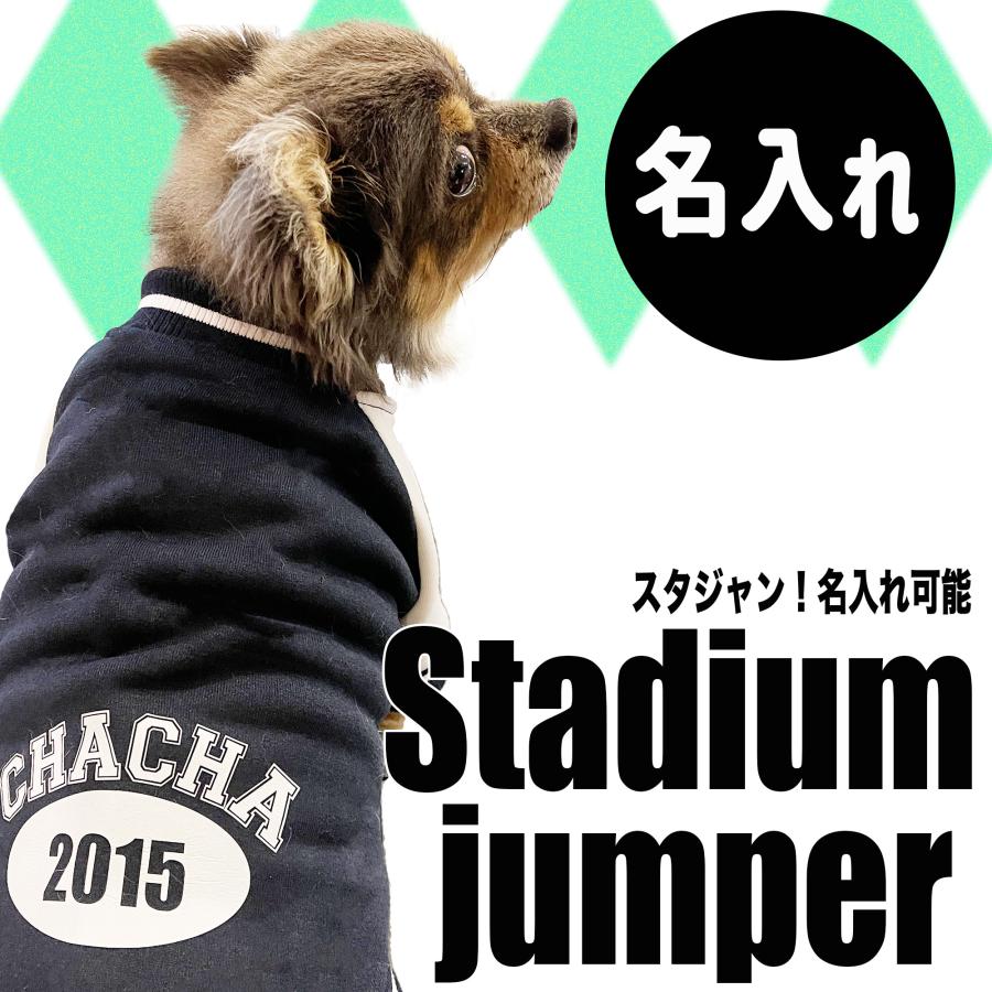 G-snap】名入れ スタジャン ブルー 犬服 ドッグウェア ウチの子 カッコ 
