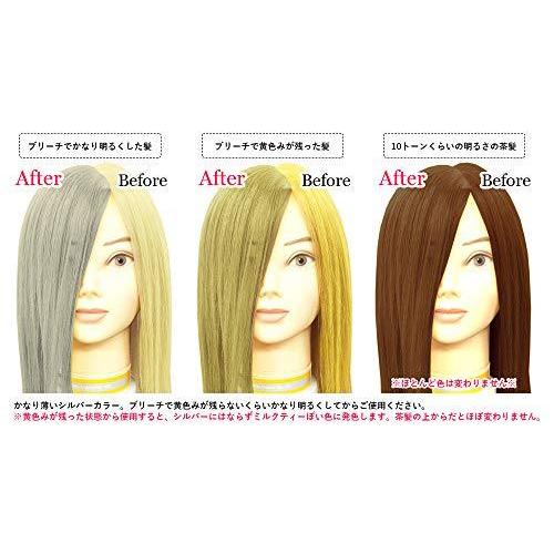 販売半額 エンシェールズ クリップジョイント カラーバター プラチナシルバー 0g トリートメント 0グラム X 1 純国産 日本製 Kingscages Com