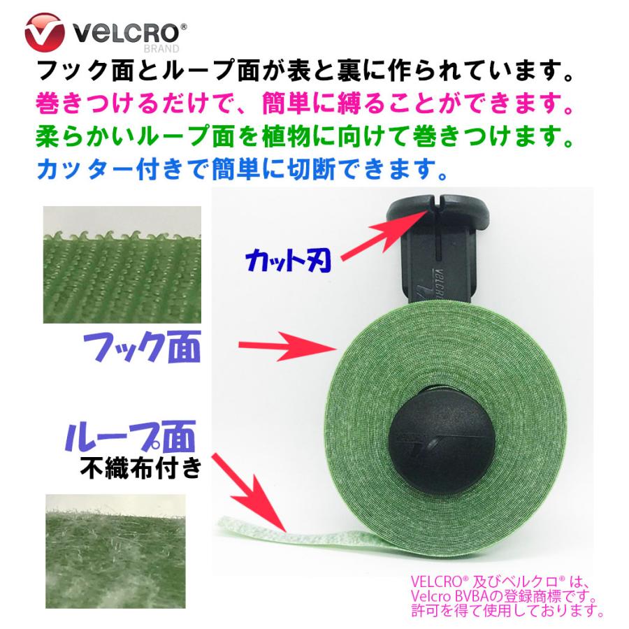 ベルクロブランド ジザイ結束ベルト ガーデニング用カッター付き 91348  1.2cmx13.7m 生産終了在庫限り |  | 02